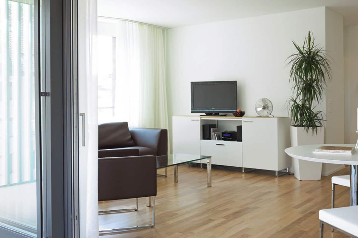 A modern living room with a sofa, a glass coffee table, a TV, and a plant.