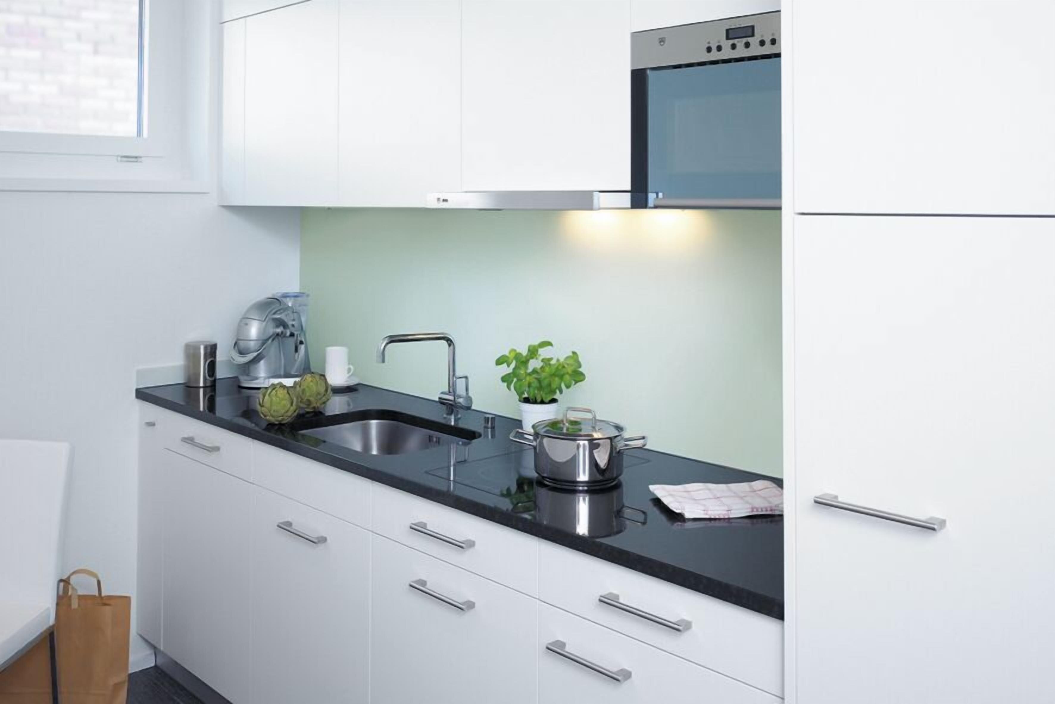 A modern kitchen with white cabinets, a black countertop, stainless steel appliances, and a potted plant.