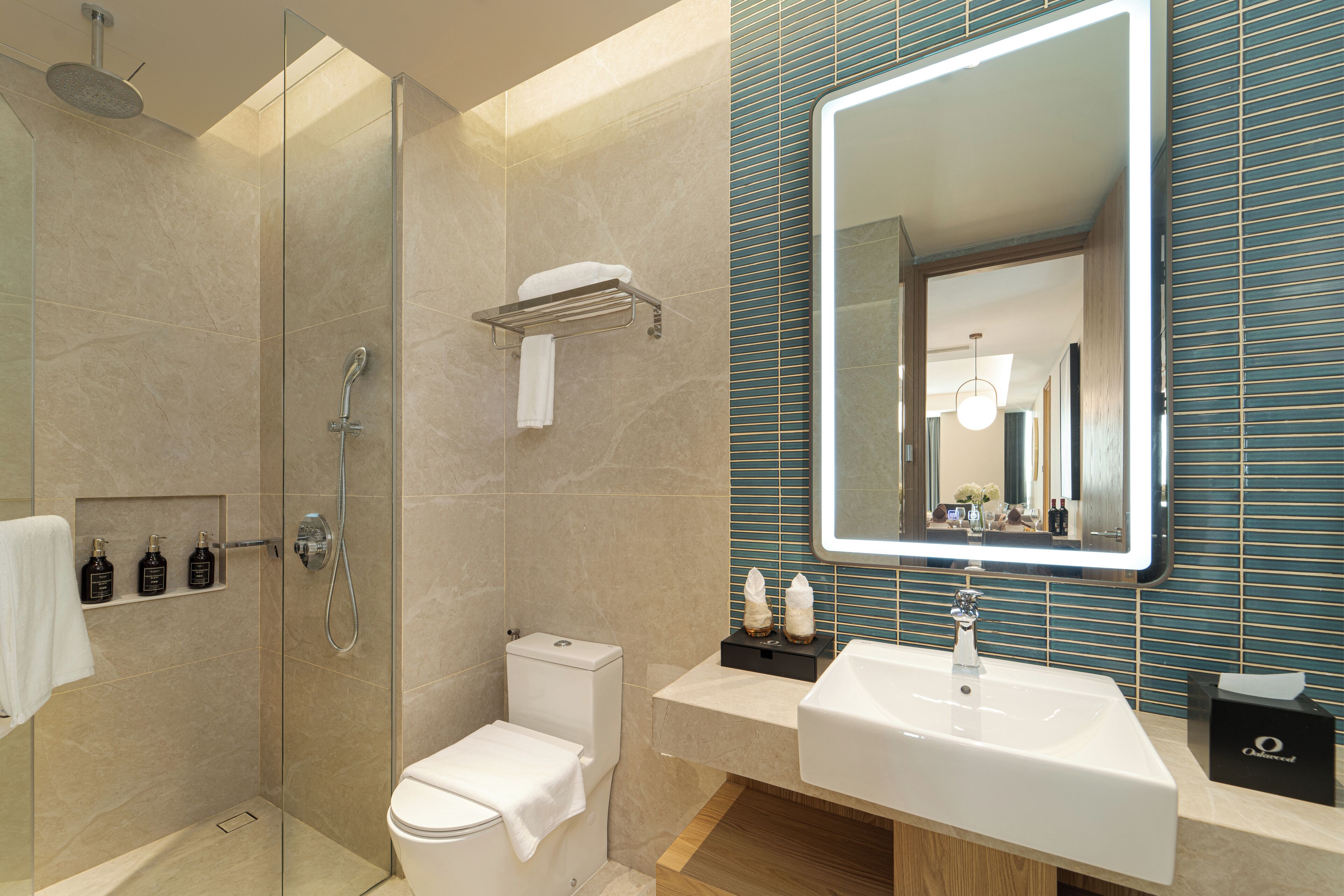 A modern bathroom with a glass-enclosed shower, a white toilet, and a large mirror above a sink.