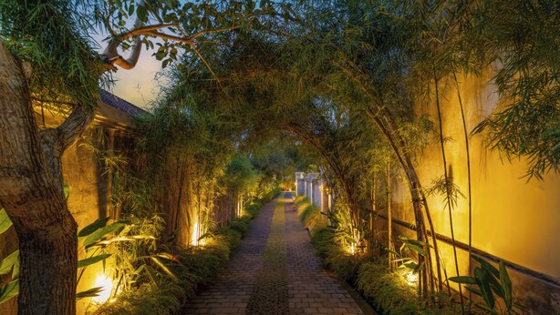 A pathway flanked by bamboo and trees, leading to a building with a tiled roof. - Bali Made Escape (Bangli)