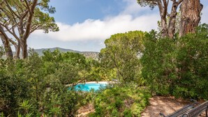 A pool surrounded by lush greenery, a bench, and a view of distant hills. - Riviera by Interhome (Sainte Maxime)