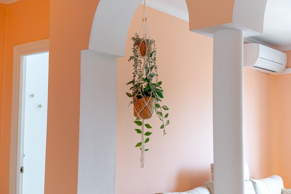 Una habitación con una planta colgante, paredes blancas y un equipo de aire acondicionado.