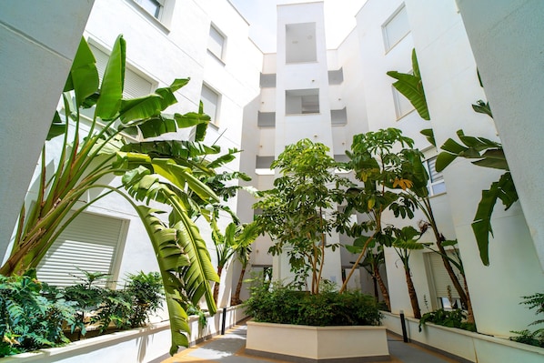 A courtyard with large potted plants, a central planter, and a white building with multiple windows and balconies.