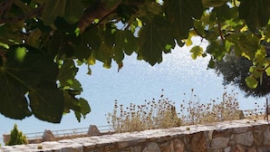 A stone wall with a view of a body of water and vegetation. - Villa Axia-Art 5pm from the sea (Evia)