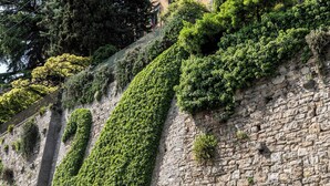A stone wall with greenery, a building with multiple windows, and a clear sky. - Palazzo Radici (Bergamo)