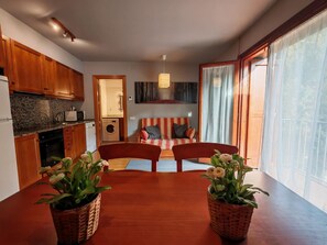 Living area - Flat Erta 1 8km from Vall de Boí ski resort (Caldes de Boi)