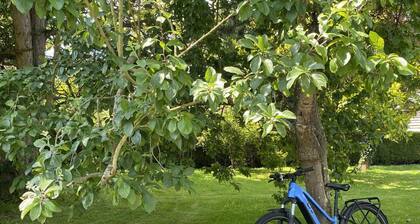 Maison de charme à Monnai, animaux acceptés, jardin et terrasse