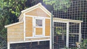 A wooden chicken coop with a wire mesh front and a small window. - Charming house in Monnai, pets allowed, garden and terrace (La Ferté-en-Ouche)