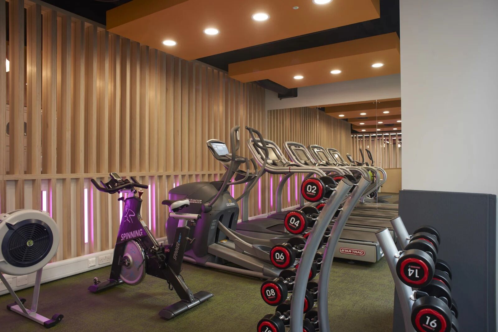 A gym with stationary bikes, treadmills, and a rack of dumbbells.