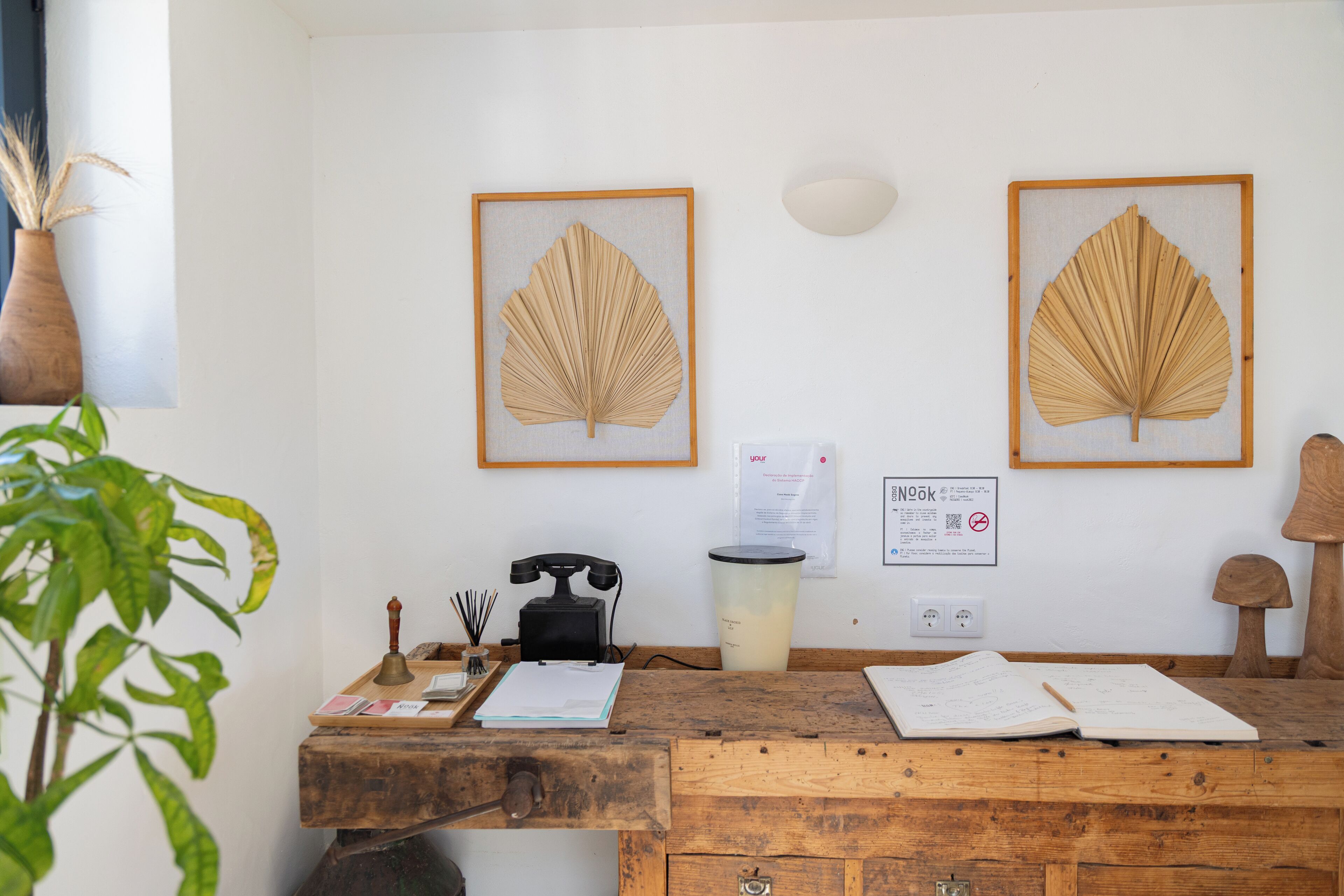 A wooden desk with papers, a telephone, and a lamp. There are framed leaves on the wall and a plant to the left.