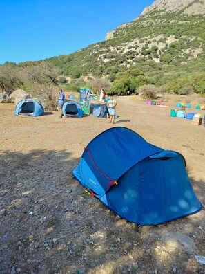 Free WiFi - Dar Zaghouan (Zaghouan)