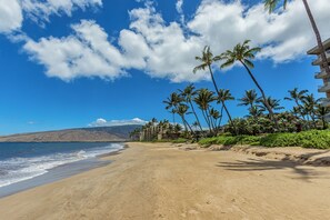 A beach with palm trees and a clear sky. - Poolside peace, garden views in a modern setting (Kihei)