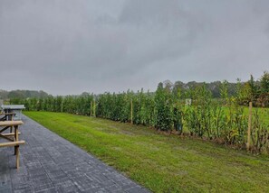 House | View from property - Lodge in Netherlands With Furnished Terrace (Oirschot)