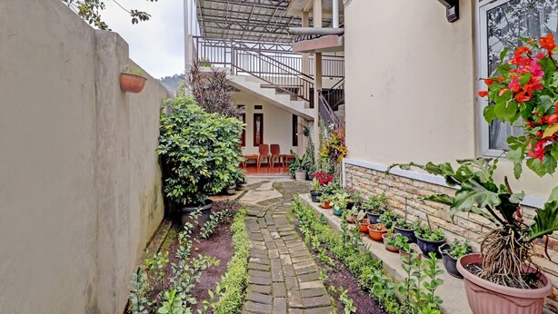 Une cour étroite avec un chemin de pierre, des plantes en pot et un escalier menant à un niveau supérieur.