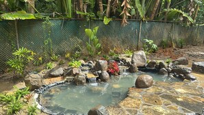 Ein Garten mit einem kleinen Teich, umgeben von Steinen und verschiedenen Pflanzen.