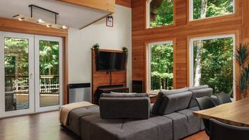 TV, fireplace, stereo