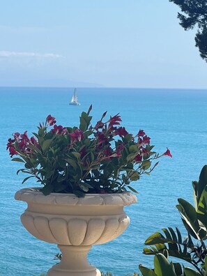 Detalle exterior