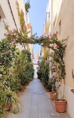 Stroll through a charming Mediterranean-inspired alleyway lined with lush greenery and vibrant flowers.