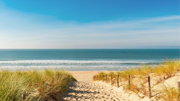 A sandy beach with a wooden fence and grass in the foreground, leading to the ocean. - Gorgeous home in Lege-Cap-Ferret with WiFi (Lege-Cap-Ferret)