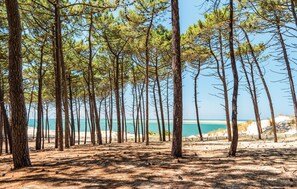 Beach nearby - 2 bedroom gorgeous home in Lege-Cap-Ferret (Lege-Cap-Ferret)