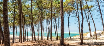 Mooi huis in Lege-Cap-Ferret met WiFi