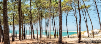 Mooi huis in Lege-Cap-Ferret met WiFi