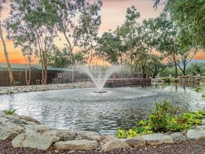 Property grounds - Groups, Resort-Style Amenities & Pool • Solana #5 (Tucson)