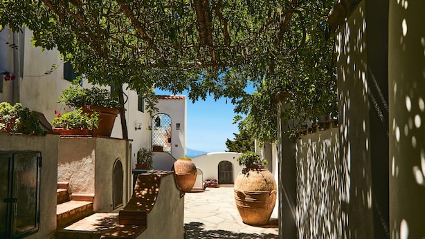 A narrow alleyway with steps leading to a white building with a tiled roof, surrounded by potted plants and large pots. - Casa Alessandra in Anacapri (Anacapri)