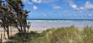 A beach with trees and grass in the foreground, and the ocean in the background.