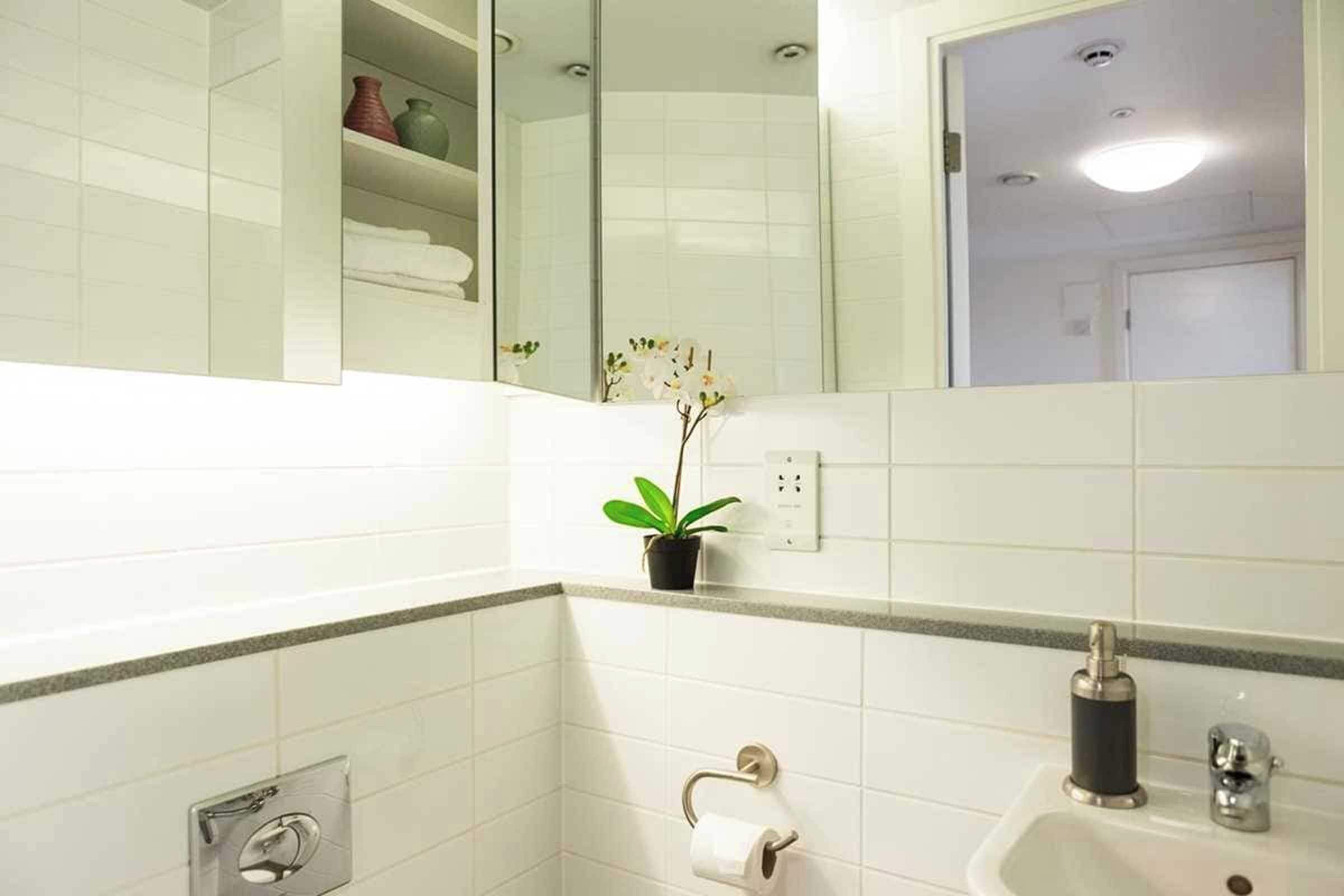A bathroom with white tiled walls, a sink with a black soap dispenser, a toilet paper holder, and a potted plant.