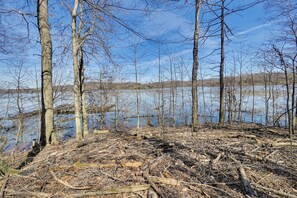 Un área boscosa con un lago al fondo.