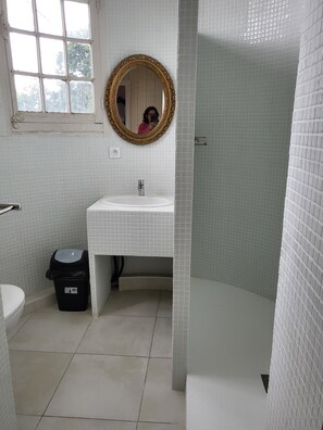 Shower, towels, toilet paper