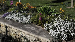Une maison blanche avec des volets noirs, un jardin où poussent différentes sortes de fleurs et un nichoir fixé sur un poteau.