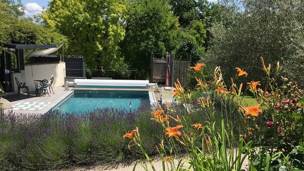 Un jardin à l’arrière de la maison, avec une piscine, entouré d’une végétation luxuriante et de plantes en fleurs.