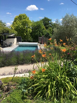 A backyard with a swimming pool, surrounded by lush greenery and flowering plants.