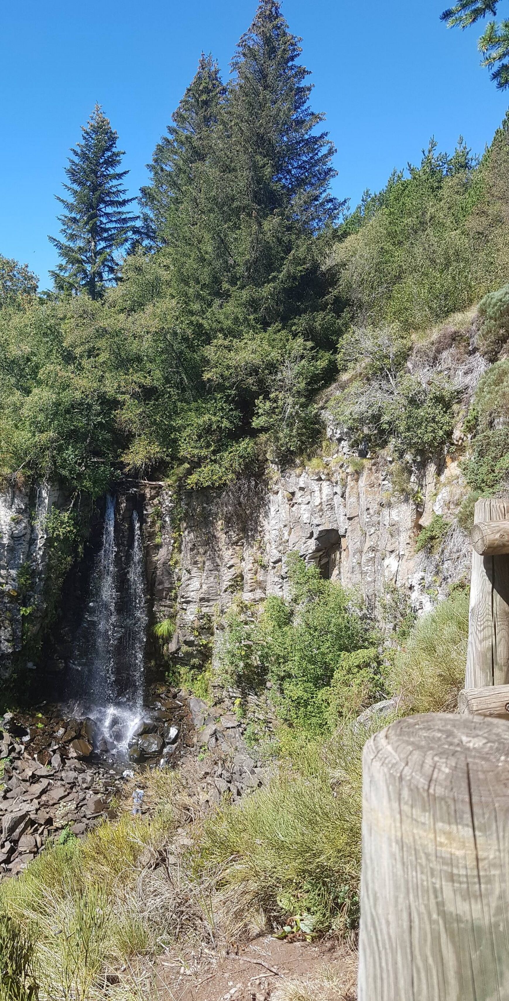 Eine natürliche Landschaft mit Wasserfall, dichtem Wald und felsigem Gelände.