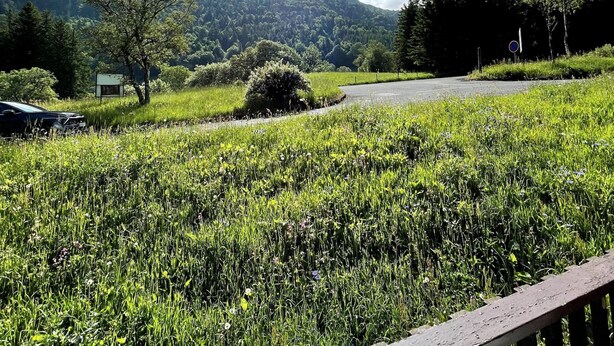Une vue d’un champ herbeux avec une route et une montagne en arrière-plan.