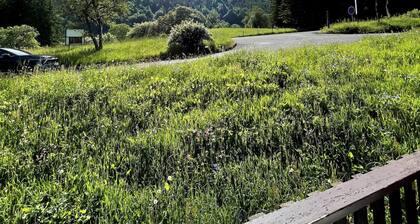 L´Ecrin d´Edern °Le Mont Dore ° Ski °Randonnée °