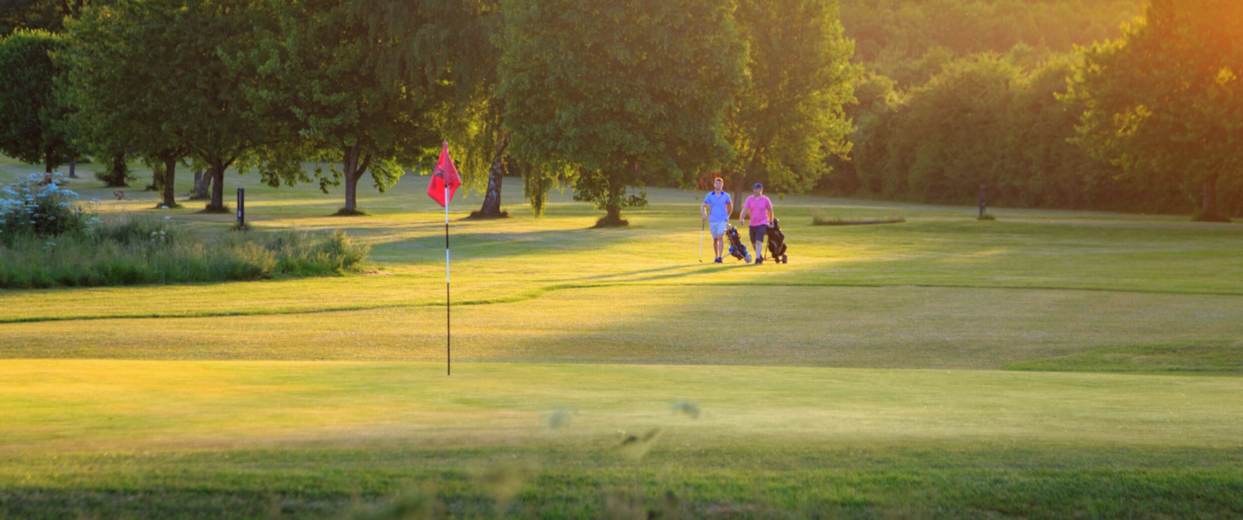 A golf course with a flagstick, trees, and a clear sky.