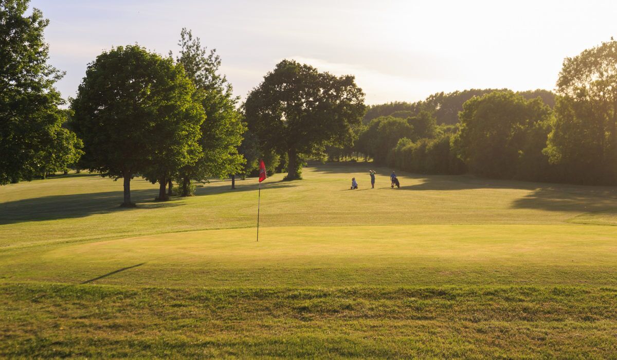 A golf course with a flagstick, trees, and a clear sky.