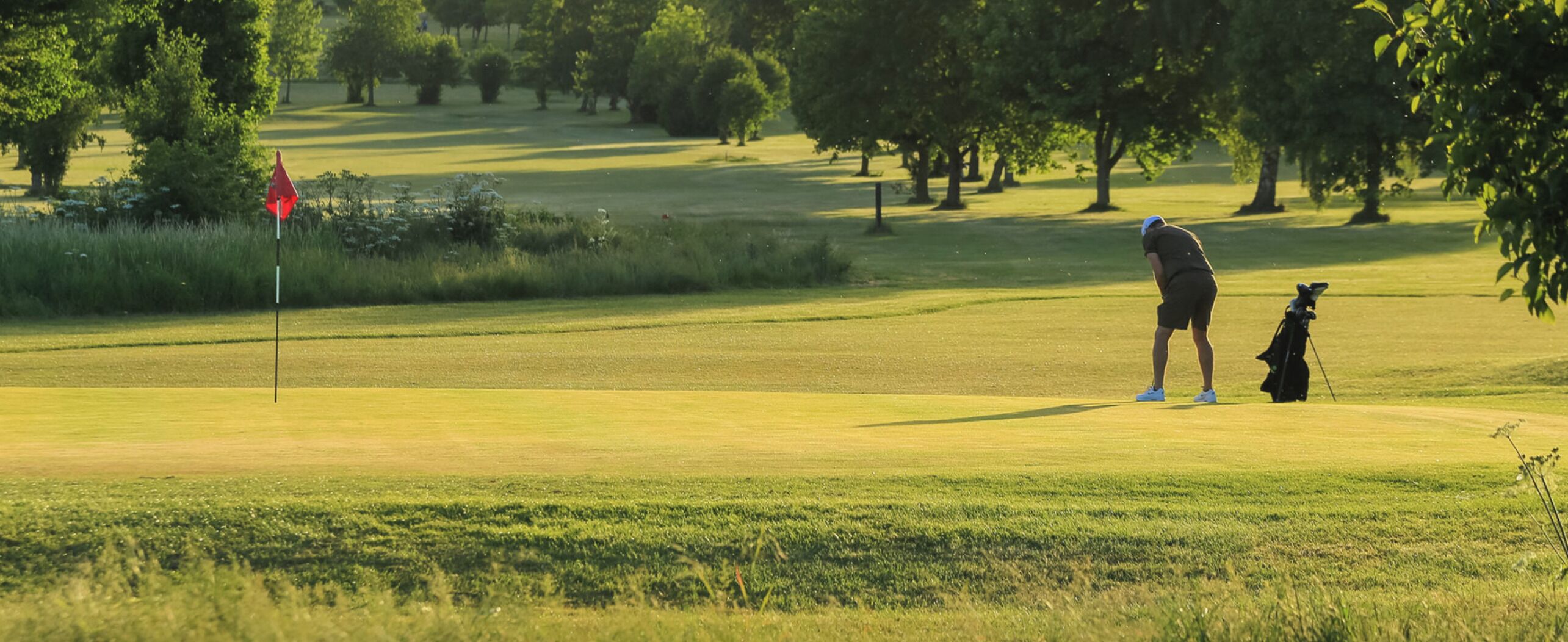 Un campo de golf con un mástil de bandera, árboles y un golfista con su bolsa.