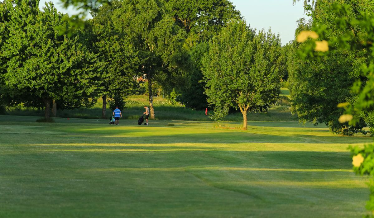 Un campo de golf con árboles y una bandera.