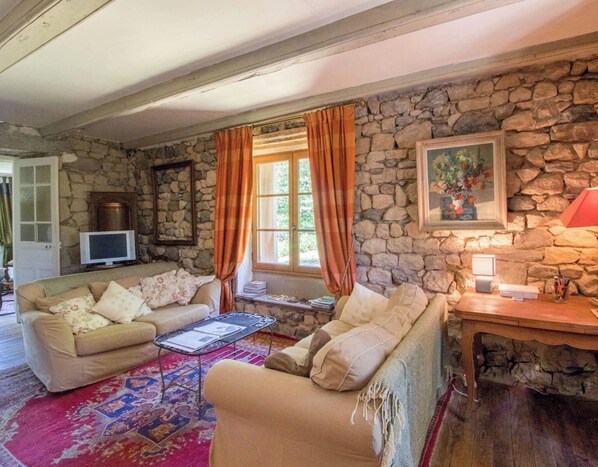 TV, fireplace, books