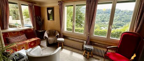 Télévision, cheminée, livres