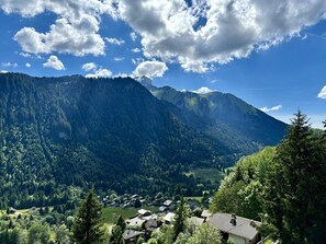 Miscellaneous - Le Thélème A303: panoramic view of Châtel (Châtel)