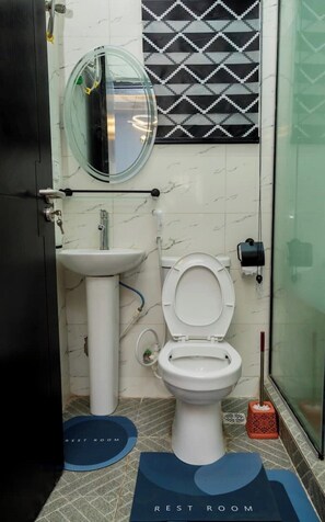 Hair dryer, towels, soap, toilet paper