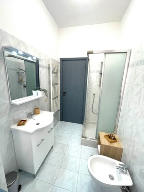 Shower, hair dryer, bidet, towels