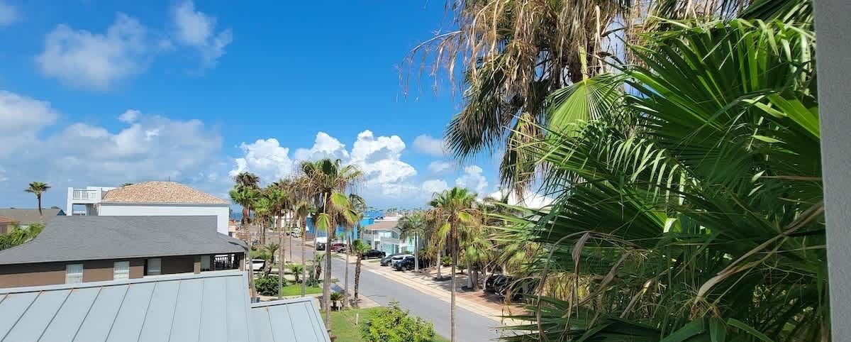 A residential street with houses, palm trees, and a clear blue sky.