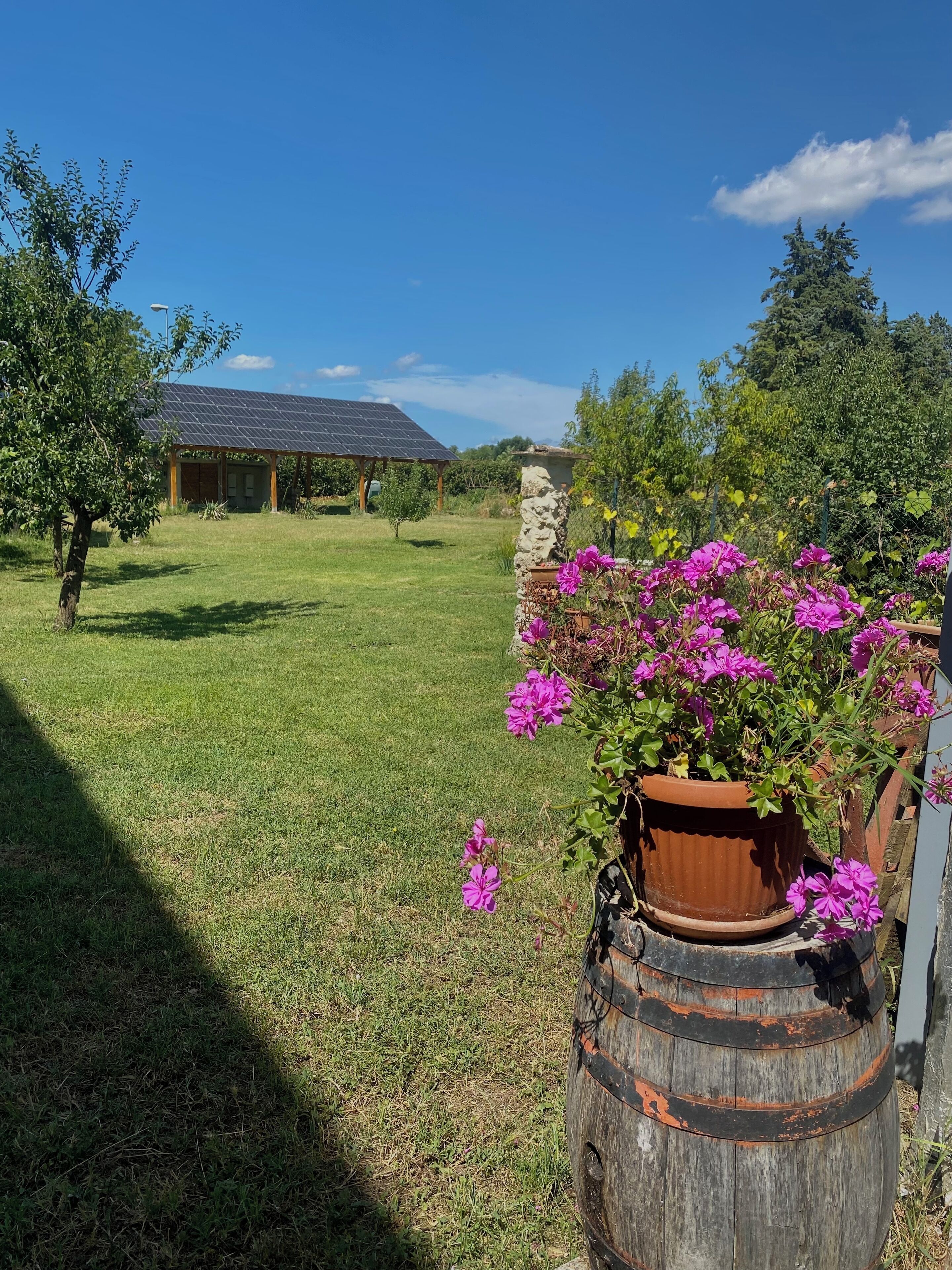 A grassy area with a stone pillar, a wooden barrel, and a potted plant with purple flowers.