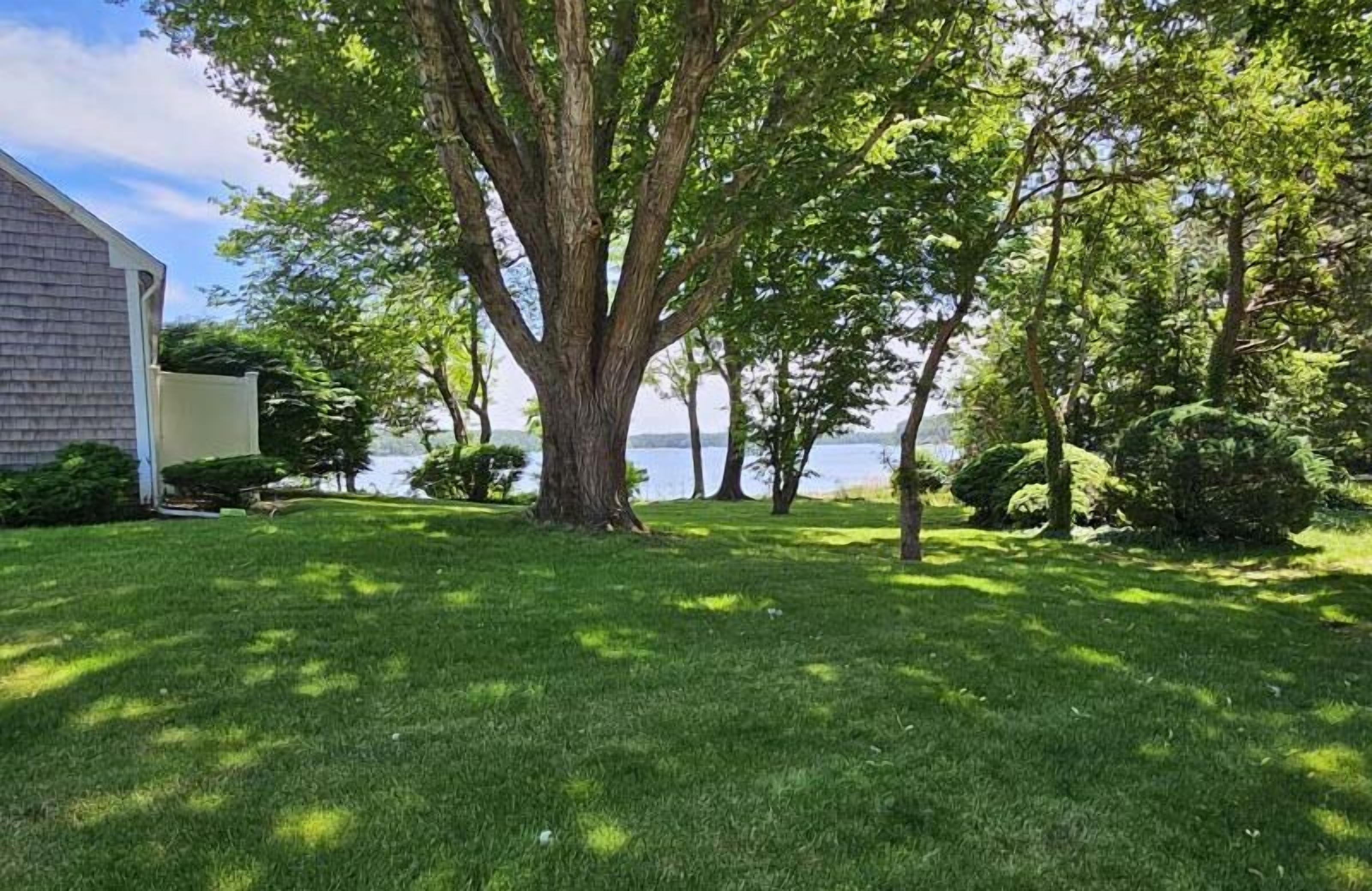 A well-maintained lawn with a large tree in the center, a body of water in the background, and a building on the left.